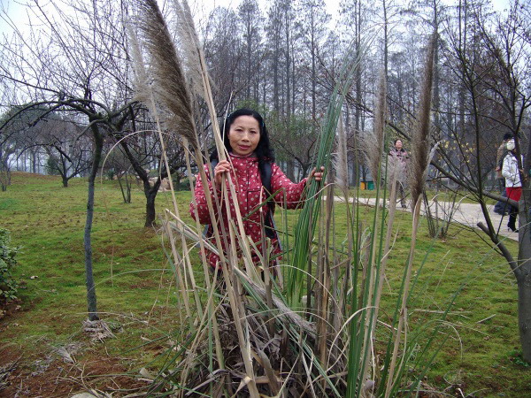 100_2372.jpg