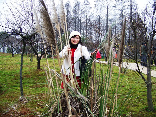 100_2375.jpg