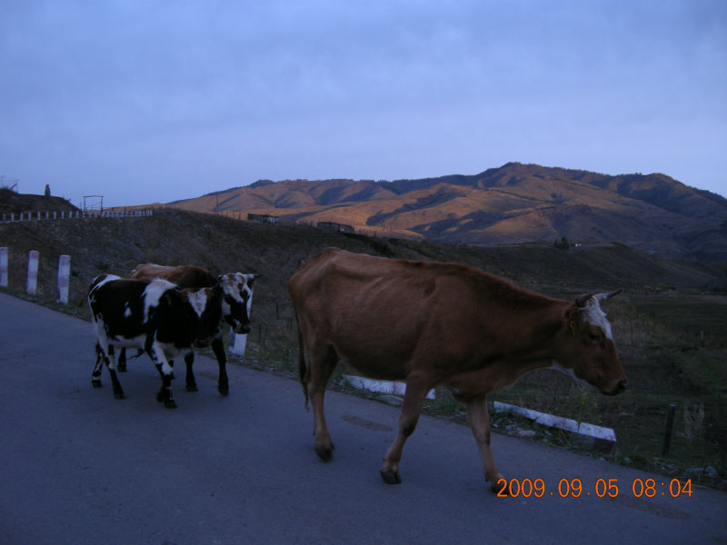 dscn2397.jpg