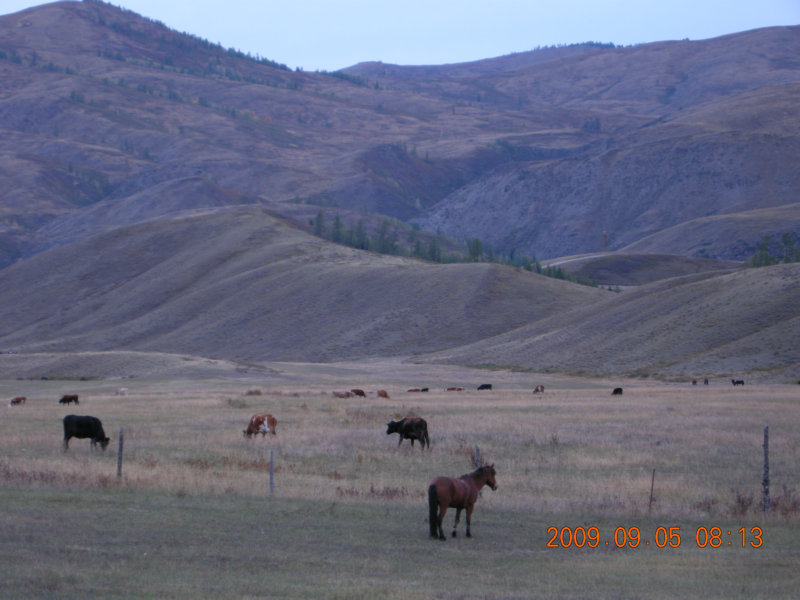 dscn2399.jpg