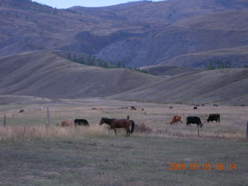 dscn2400.jpg