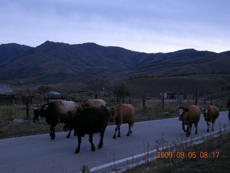 dscn2402.jpg