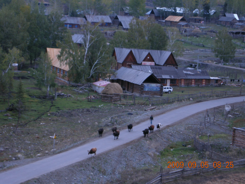 dscn2405.jpg