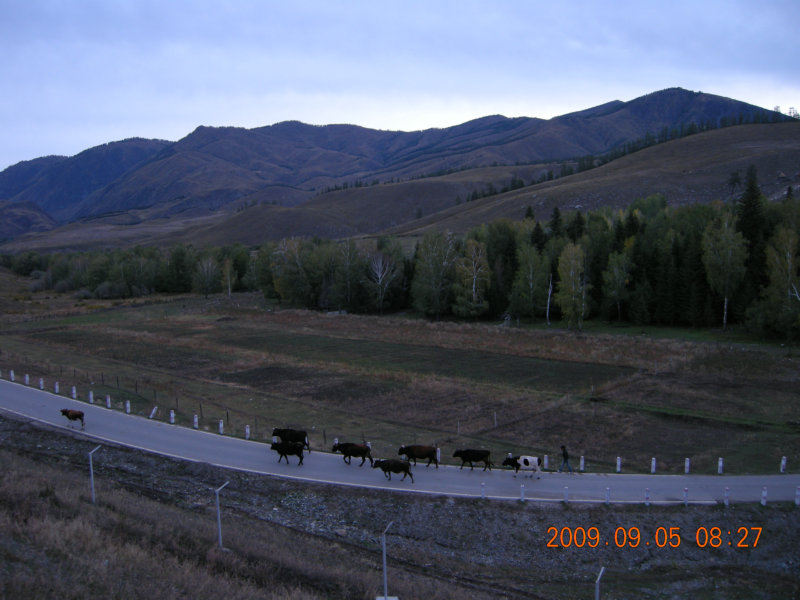 dscn2406.jpg