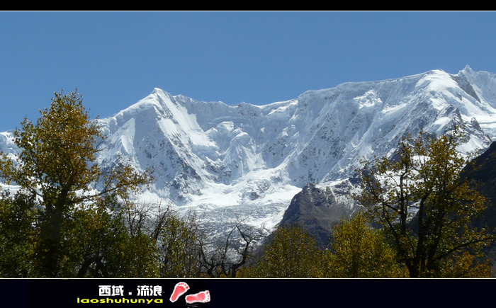 p1090536_Ӱ_1.jpg