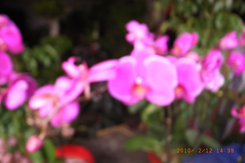 r0034601.jpg