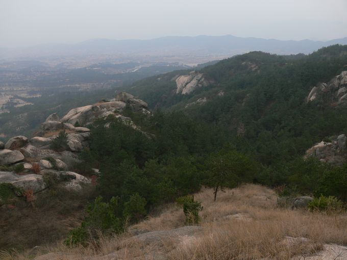 p1080431.jpg