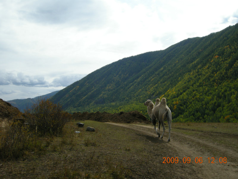 dscn2517.jpg