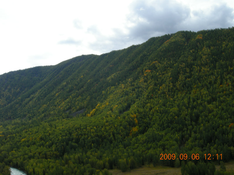 dscn2520.jpg