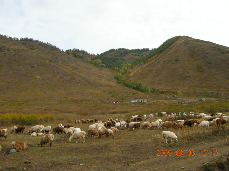 dscn2523.jpg