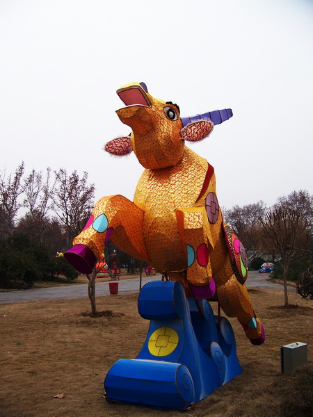 100_2431.jpg