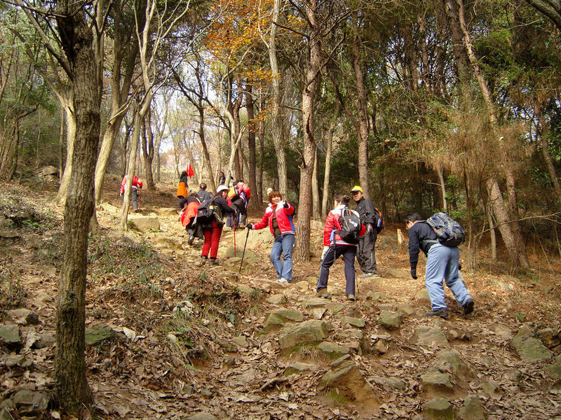  snc13638.jpg
