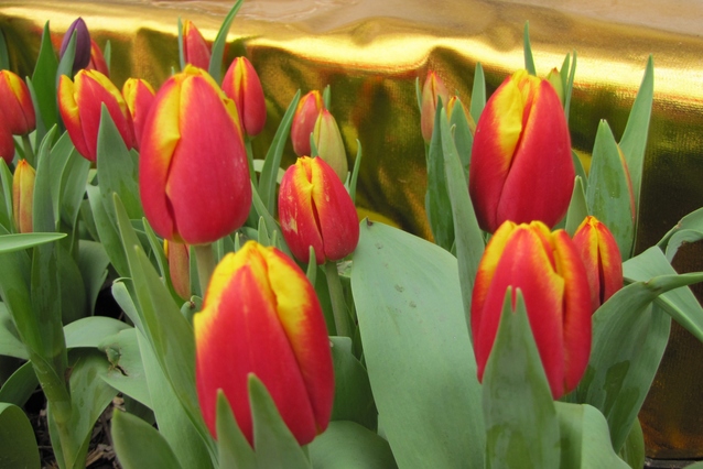 img_1024_Ӱ_1.jpg