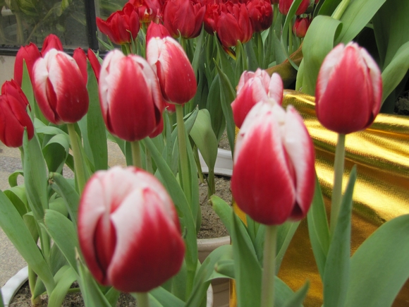 img_1025_Ӱ_1.jpg