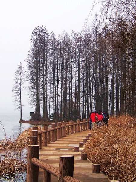 100_2750.jpg