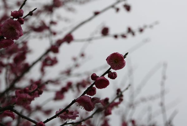 img_0857.jpg