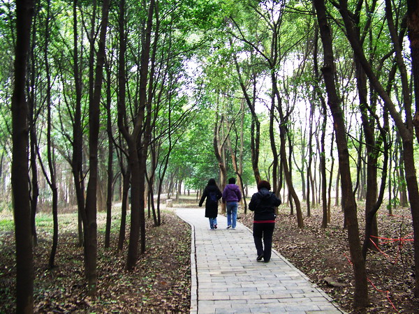 100_2619.jpg