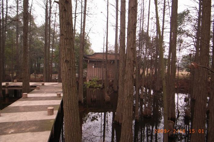 r0034641.jpg