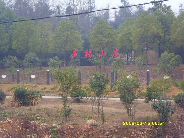 sdc15681.jpg