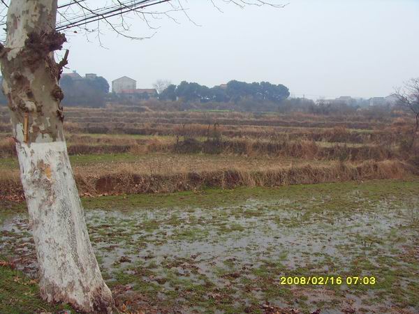 sdc15685.jpg
