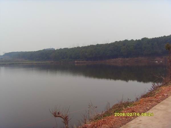 sdc15698.jpg