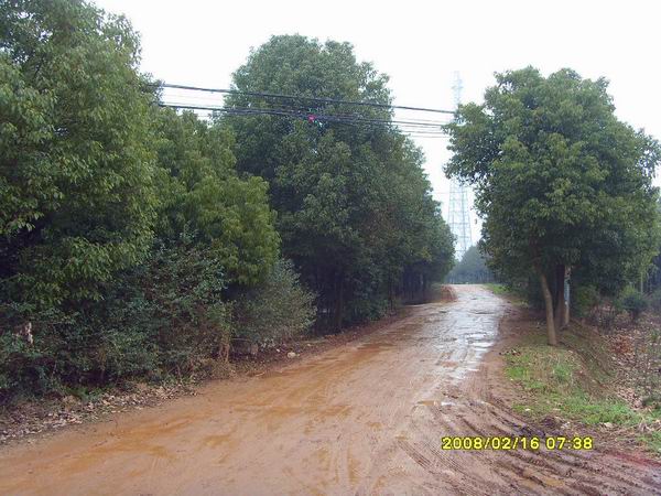 sdc15688.jpg