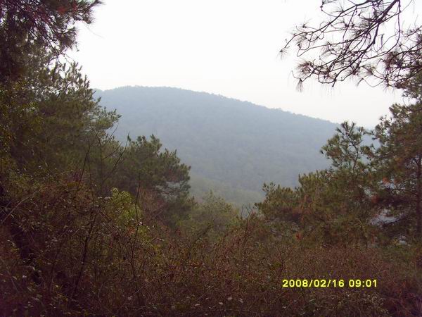 sdc15707.jpg