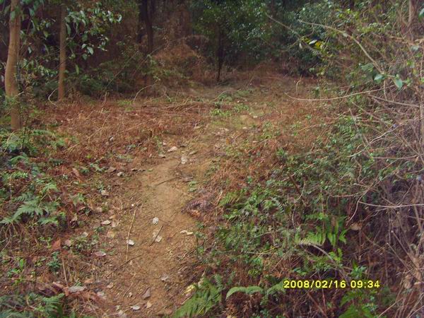 sdc15711.jpg