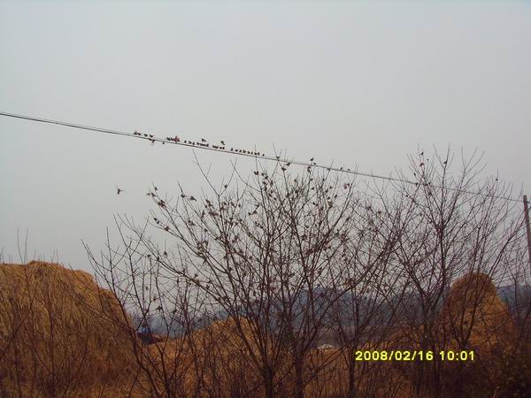 sdc15718.jpg