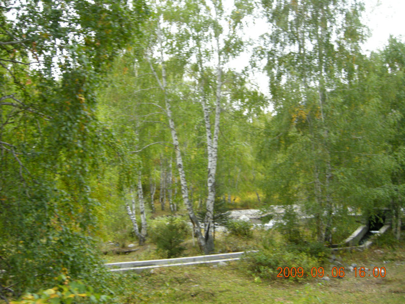 dscn2563.jpg
