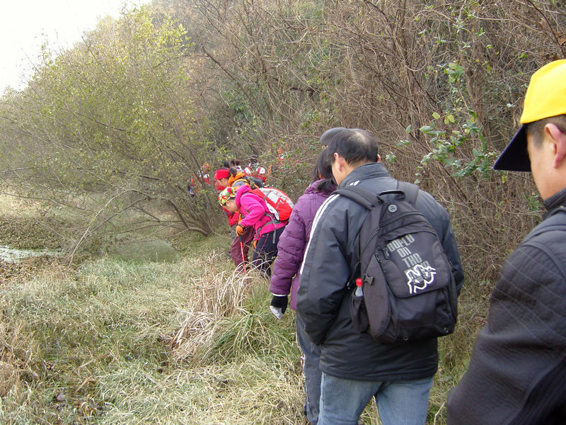  snc10043.jpg