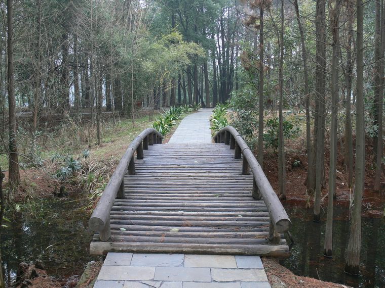 p1080833.jpg