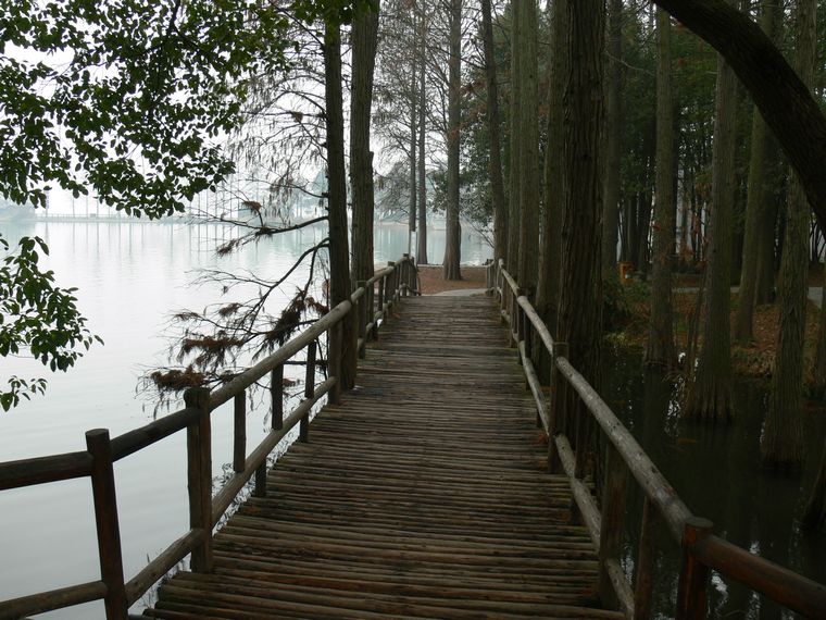 p1080835.jpg