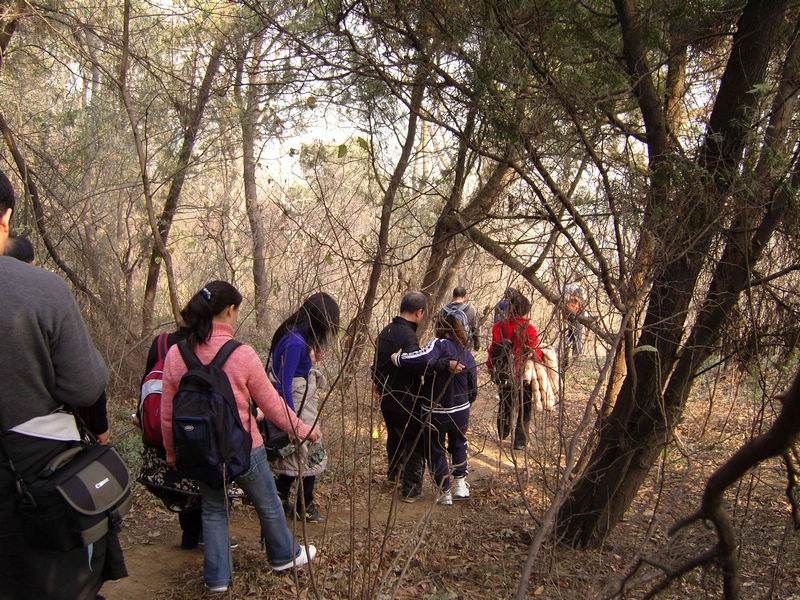  snc10021.jpg