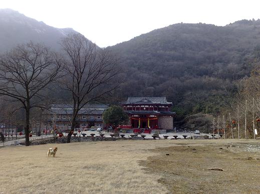 20100217655.jpg