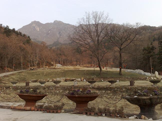 20100217664.jpg