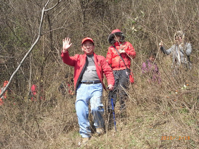 ar0017231.jpg