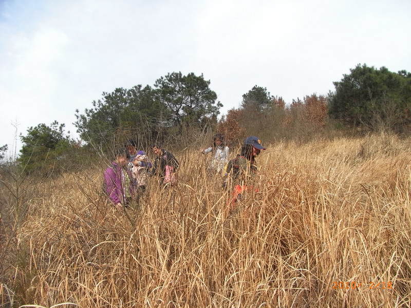 ar0017272.jpg