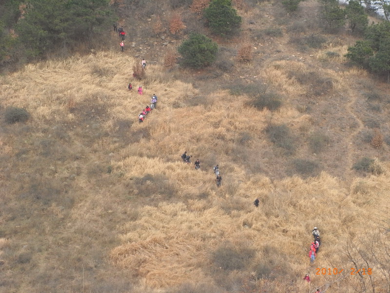ar0017277.jpg