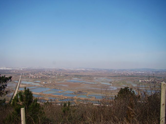 neo_img_dsc06439.jpg