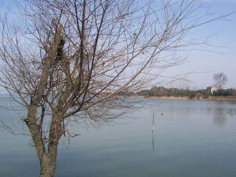 100_6139.jpg