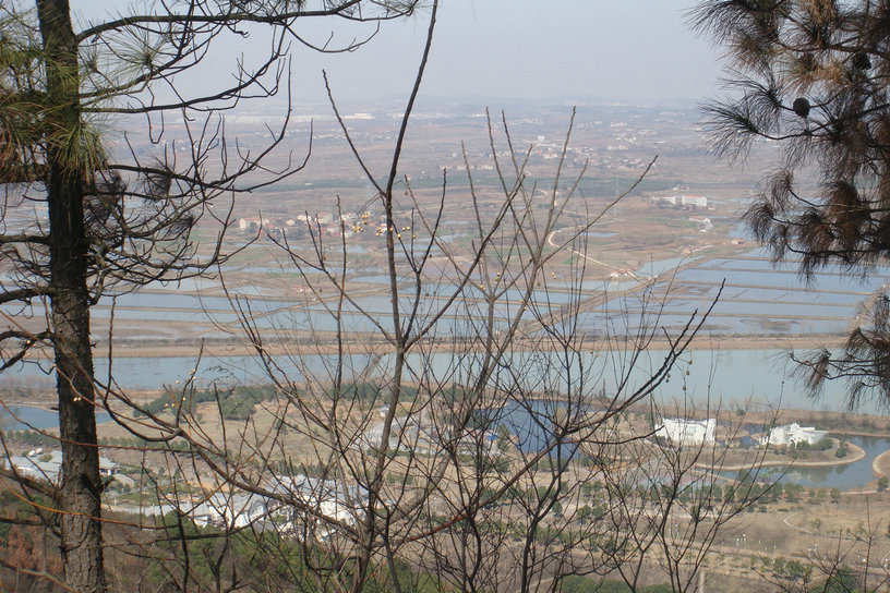 dsc01075.jpg