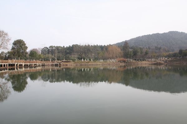img_0936.jpg