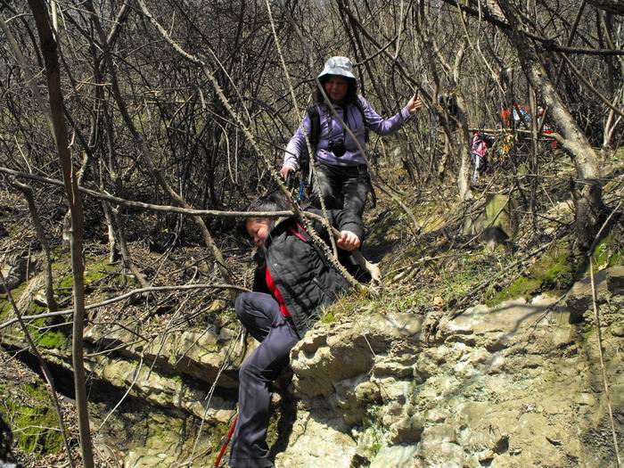 dscf0175.jpg