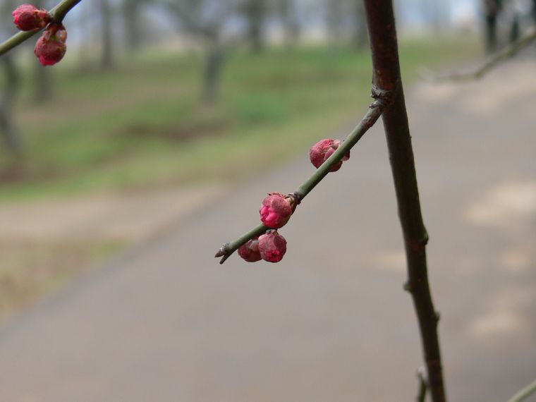 p1080799.jpg