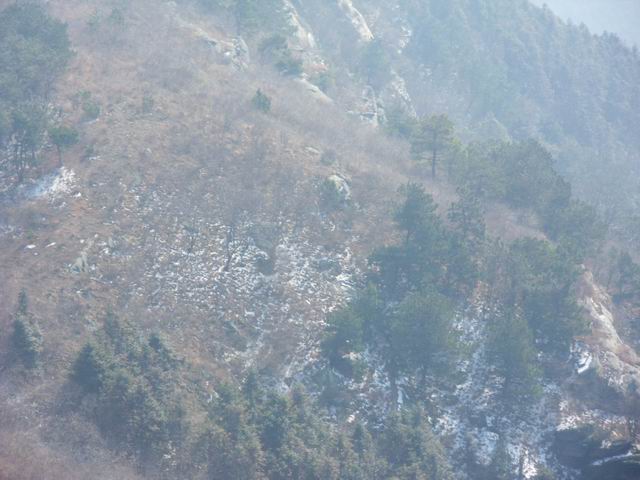 С sdc10472.jpg