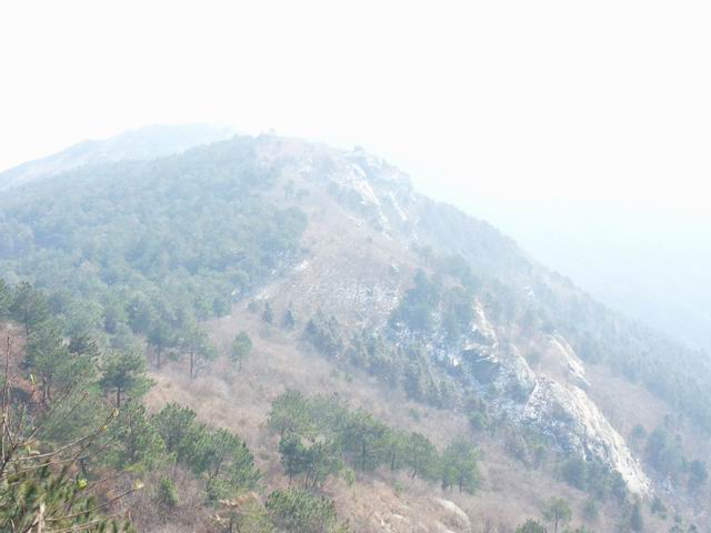 С sdc10473.jpg