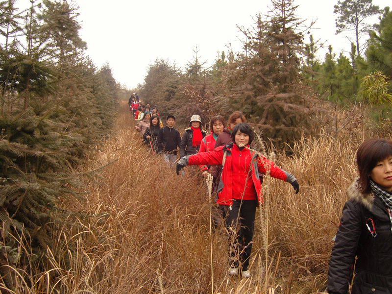  snc10004.jpg