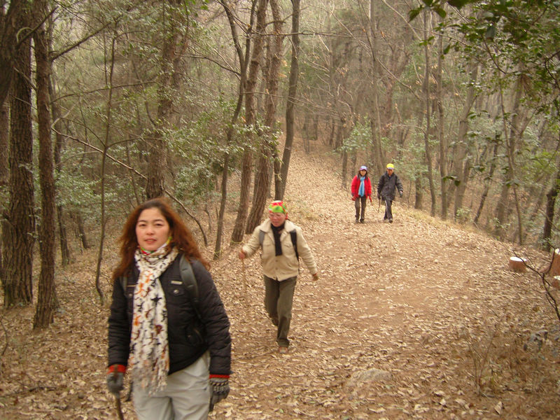  snc10050.jpg