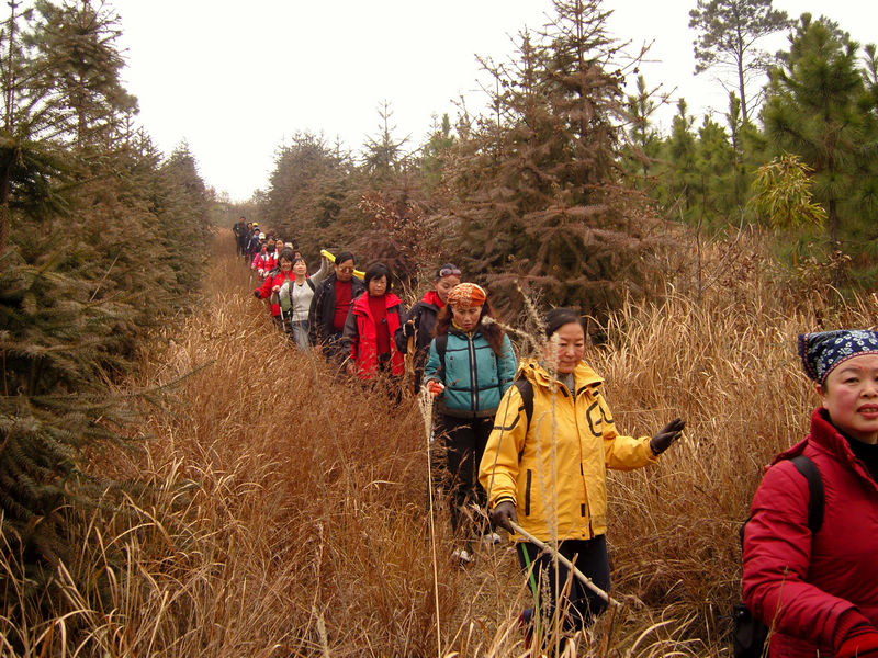  snc10008.jpg